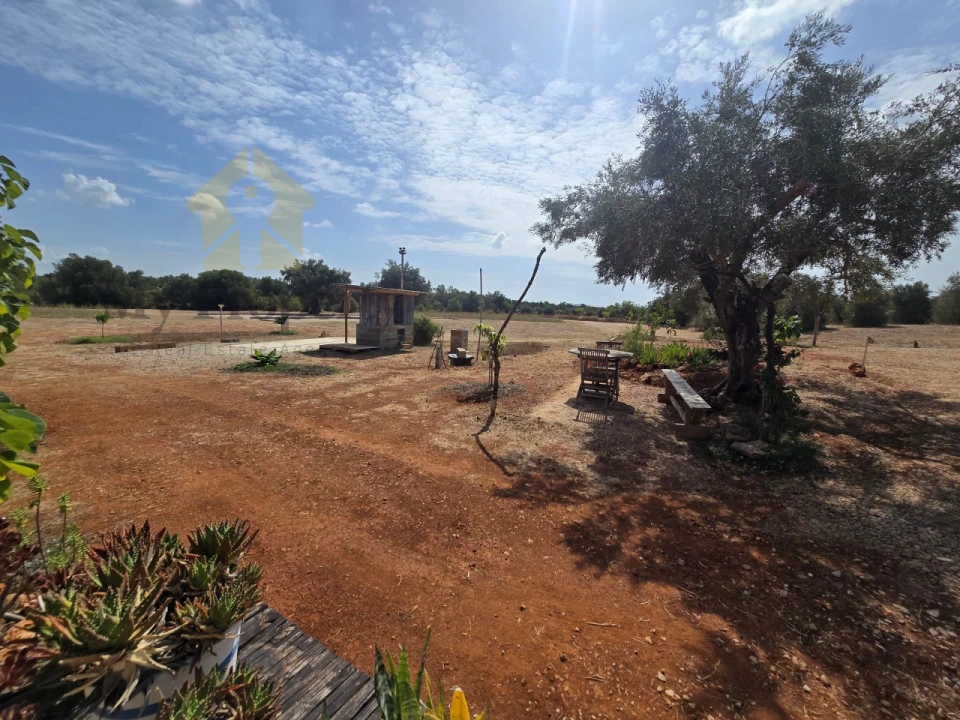 Terreno Agricola ou Rústico para Venda em Paderne Foto 5