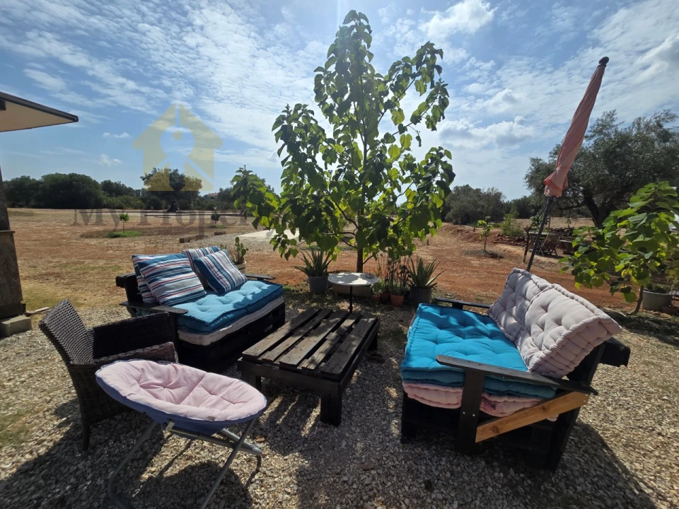 Terreno Agricola ou Rústico para Venda em Paderne Foto 3