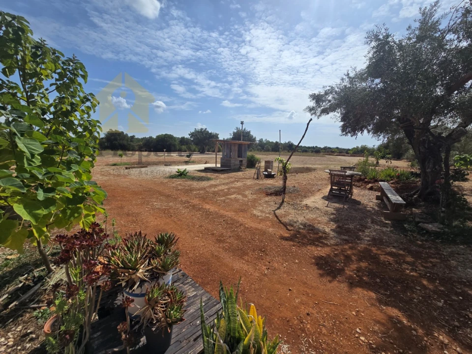 Terreno Agricola ou Rústico para Venda em Paderne Foto 7