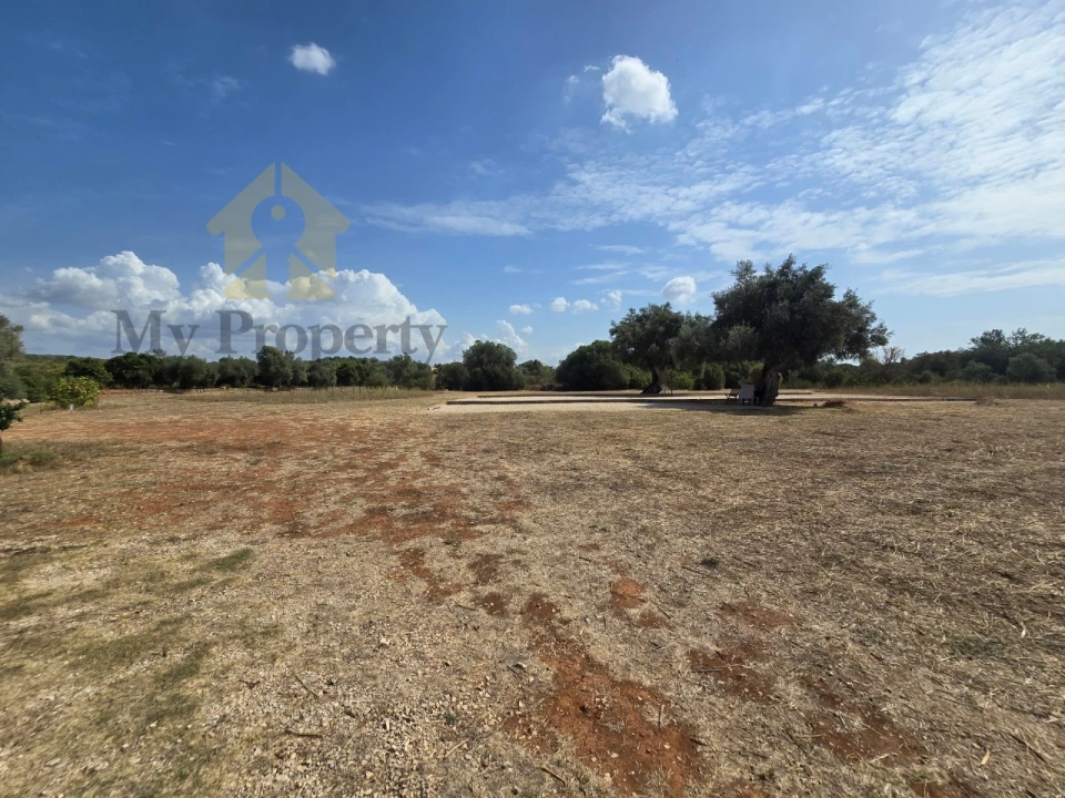 Terreno Agricola ou Rústico para Venda em Paderne Foto 8