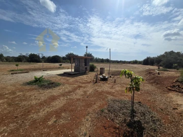 Terreno Agricola ou Rústico para Venda em Paderne