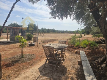 Terreno Agricola ou Rústico para Venda em Paderne