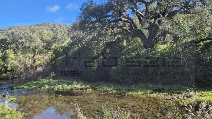 Terreno Agricola ou Rústico para Venda em Grândola e Santa Margarida da Serra