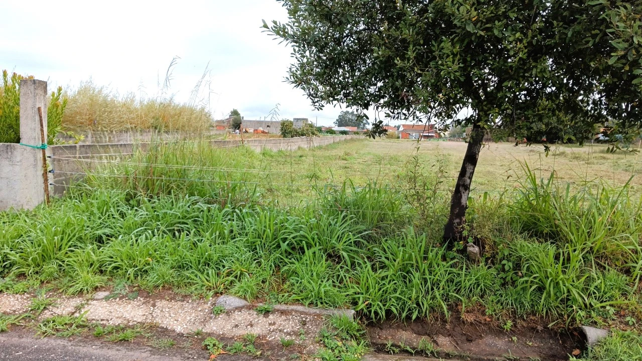Terreno Agricola ou Rústico para Venda em Cacia Foto 1