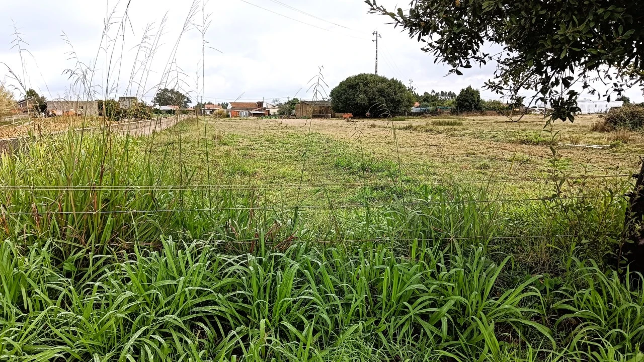 Terreno Agricola ou Rústico para Venda em Cacia Foto 4