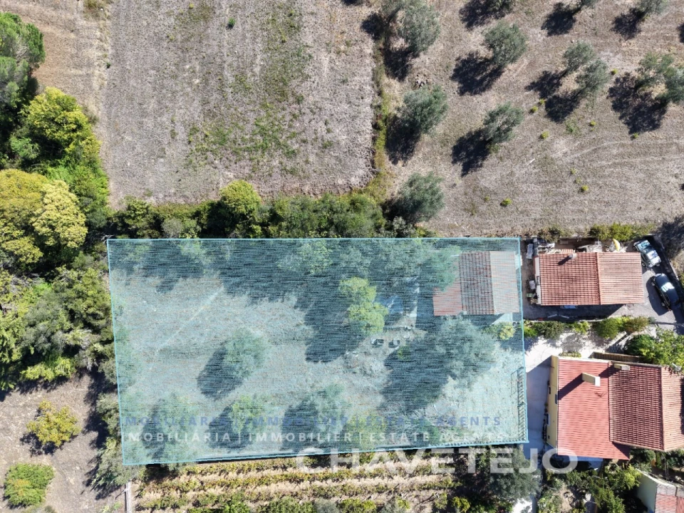 Moradia T3 para Venda em São João Baptista e Santa Maria dos Olivais Foto 2