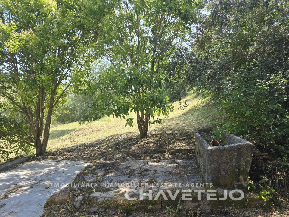 Moradia T3 para Venda em São João Baptista e Santa Maria dos Olivais Foto 12