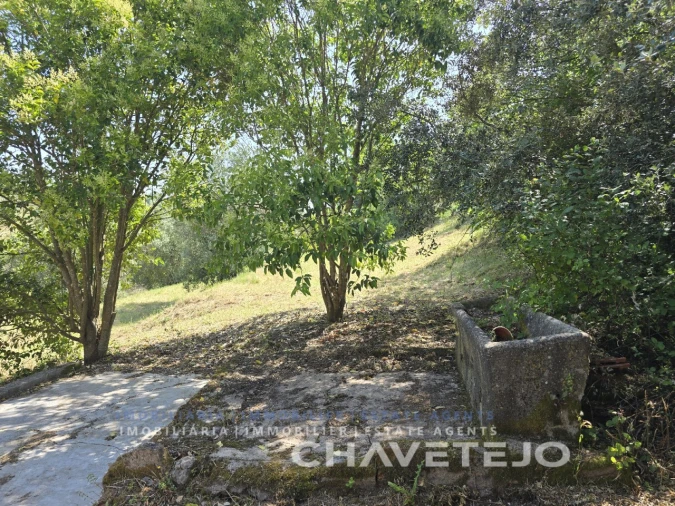 Moradia T3 para Venda em São João Baptista e Santa Maria dos Olivais Foto 12