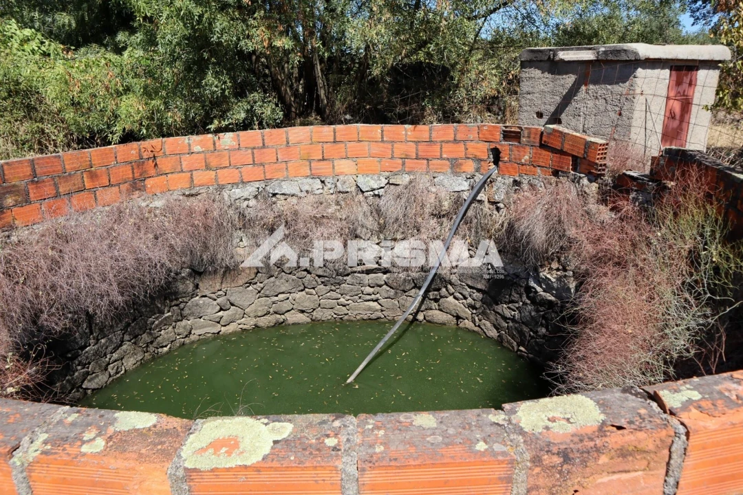 Quinta para Venda em Escalos de Baixo e Mata Foto 5