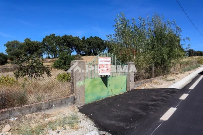 Quinta para Venda em Escalos de Baixo e Mata