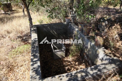 Quinta para Venda em Escalos de Baixo e Mata