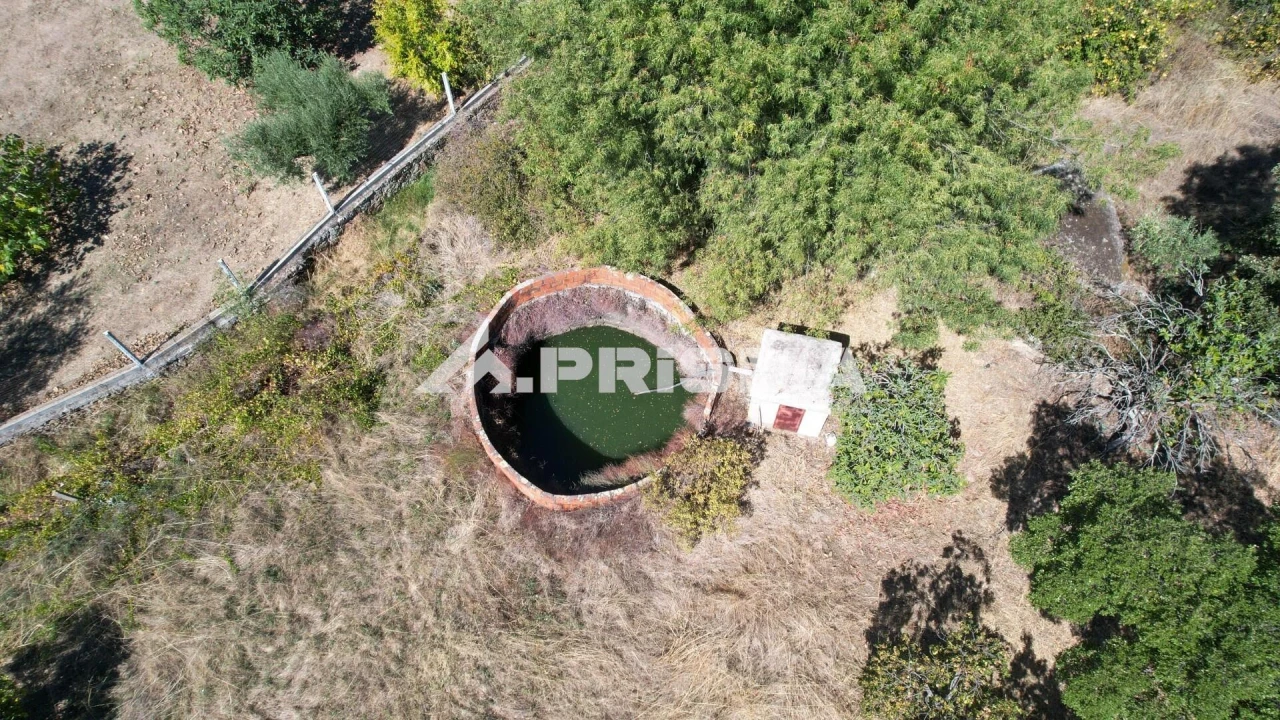 Quinta para Venda em Escalos de Baixo e Mata Foto 3