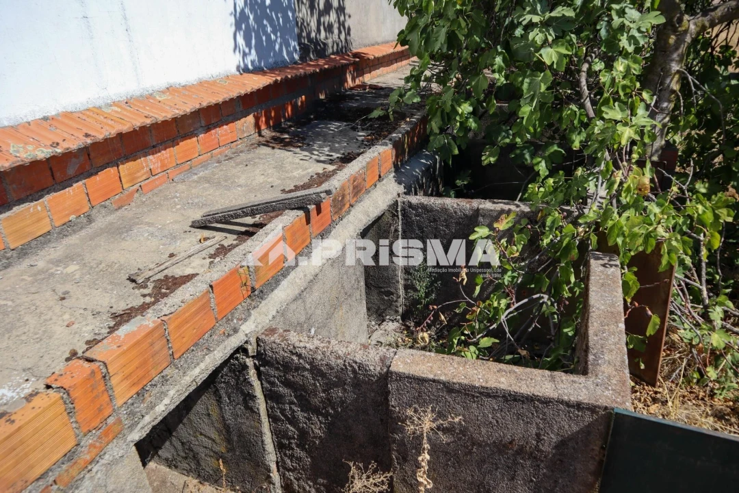 Quinta para Venda em Escalos de Baixo e Mata Foto 16