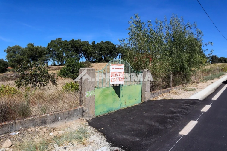 Quinta para Venda em Escalos de Baixo e Mata Foto 33
