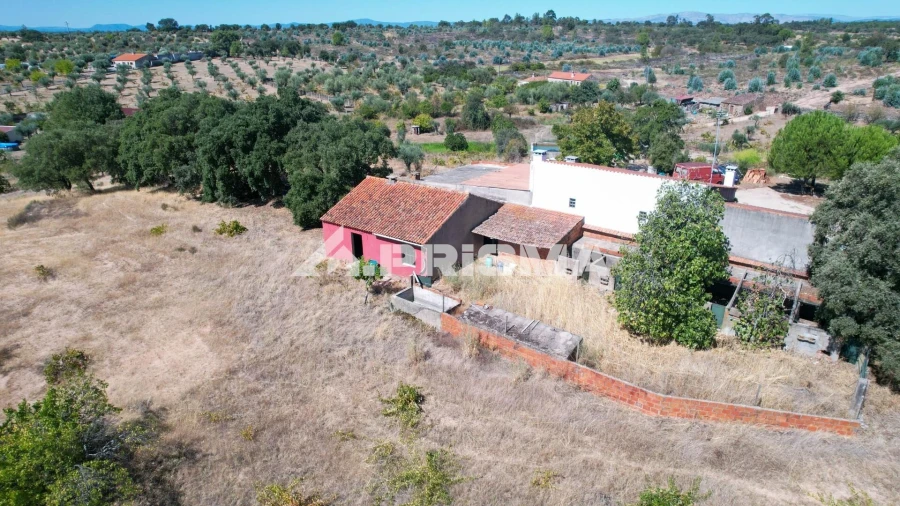Quinta para Venda em Escalos de Baixo e Mata Foto 32