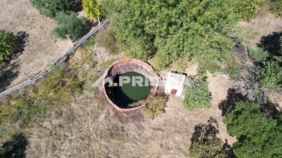 Quinta para Venda em Escalos de Baixo e Mata Foto 3