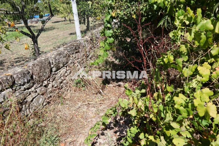 Quinta para Venda em Escalos de Baixo e Mata Foto 27