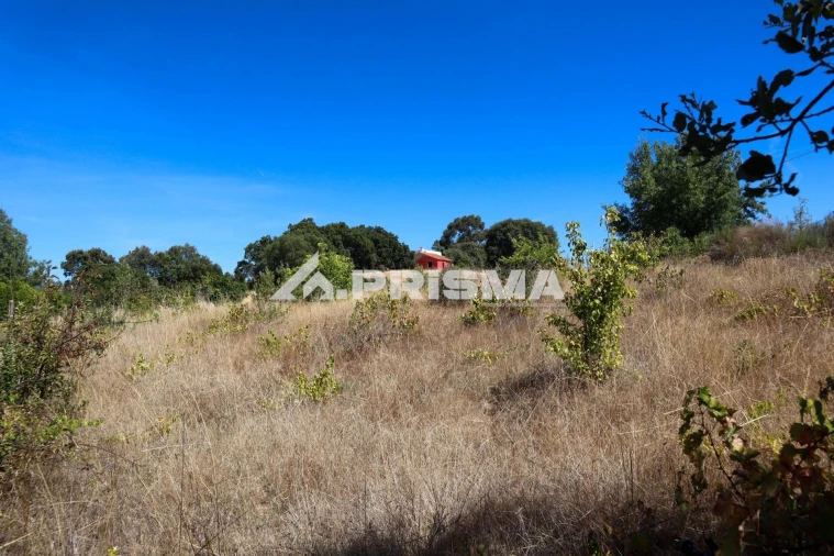 Quinta para Venda em Escalos de Baixo e Mata Foto 31
