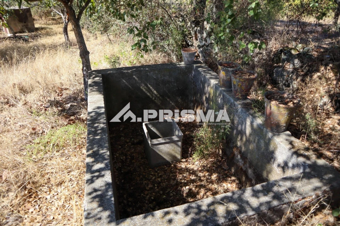 Quinta para Venda em Escalos de Baixo e Mata Foto 7