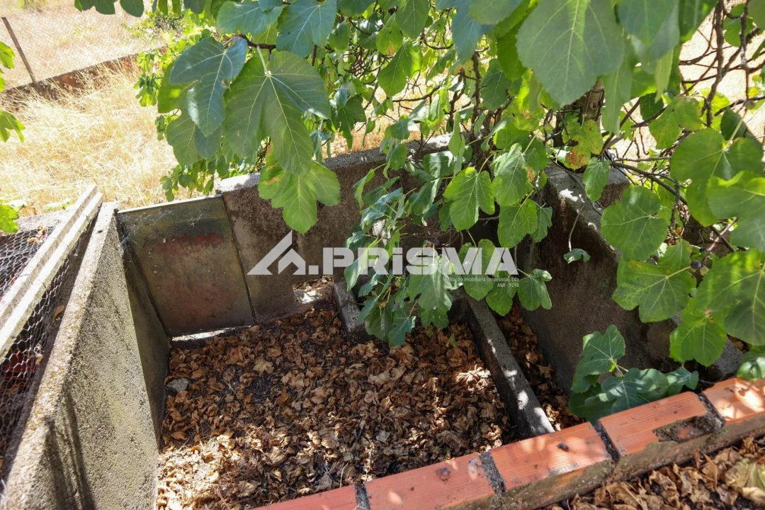 Quinta para Venda em Escalos de Baixo e Mata Foto 20