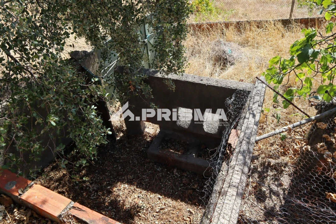 Quinta para Venda em Escalos de Baixo e Mata Foto 19