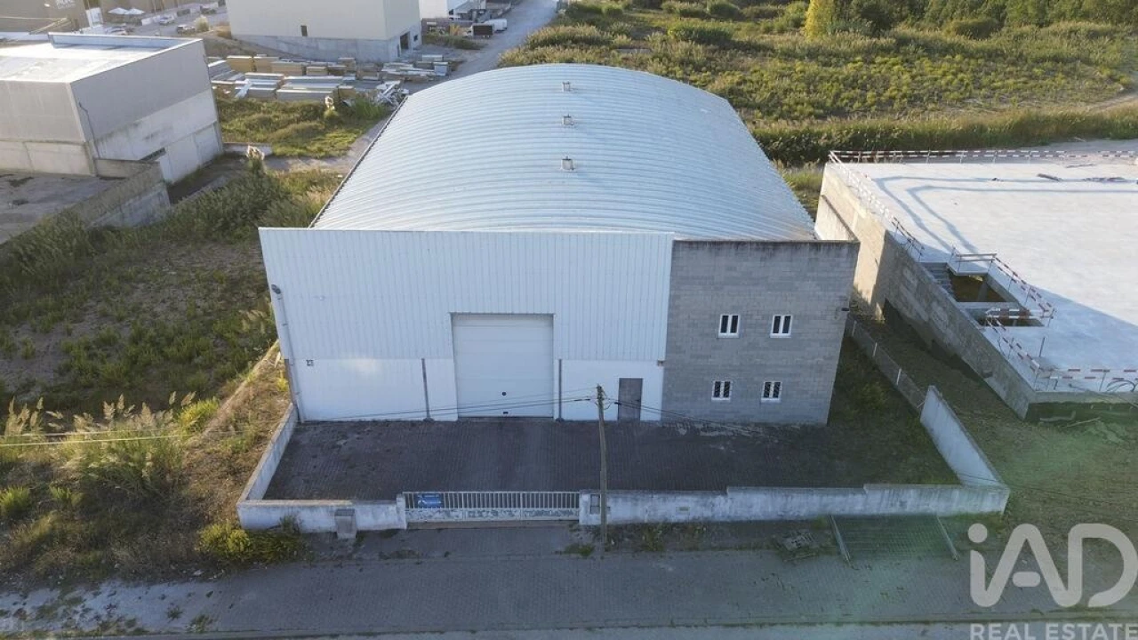 Armazém para Venda em Miragaia e Marteleira Foto 4