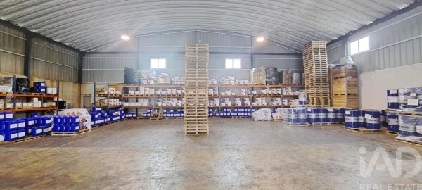 Armazém para Venda em Miragaia e Marteleira