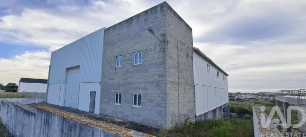 Armazém para Venda em Miragaia e Marteleira