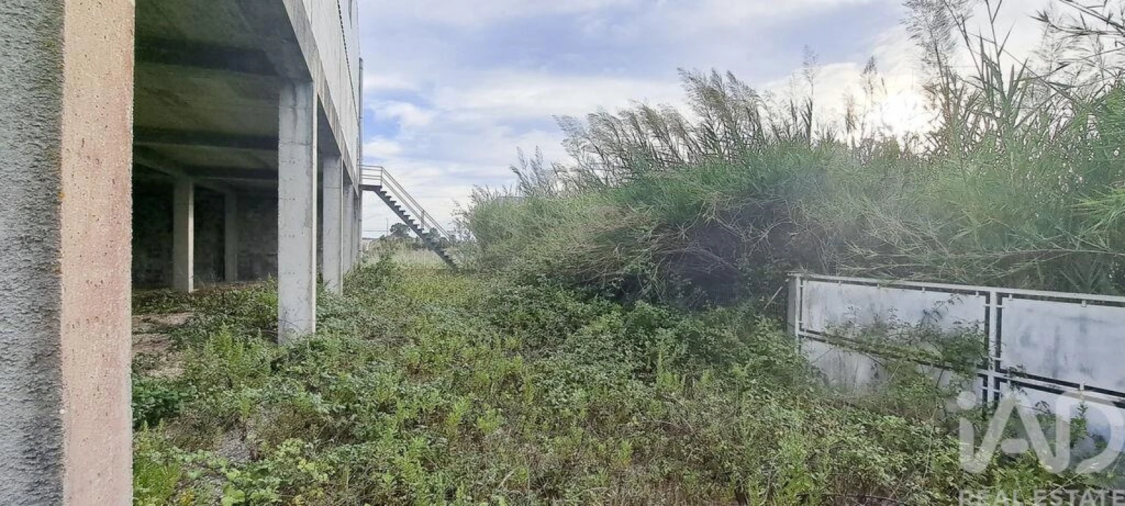 Armazém para Venda em Miragaia e Marteleira Foto 19