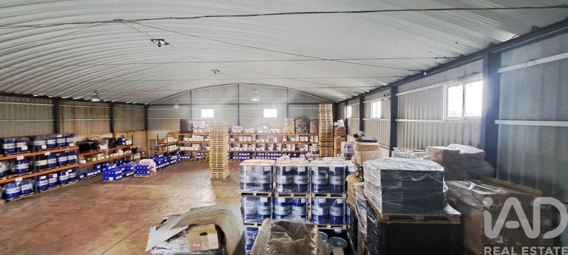 Armazém para Venda em Miragaia e Marteleira Foto 16
