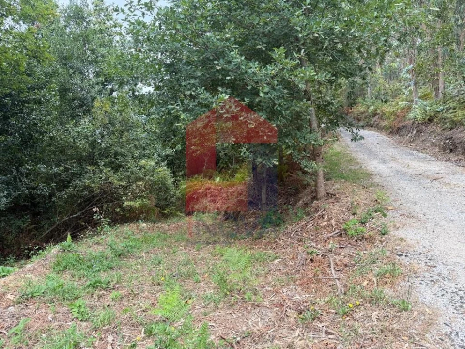 Terreno para Venda em Pico de Regalados, Gondiães e Mós Foto 1