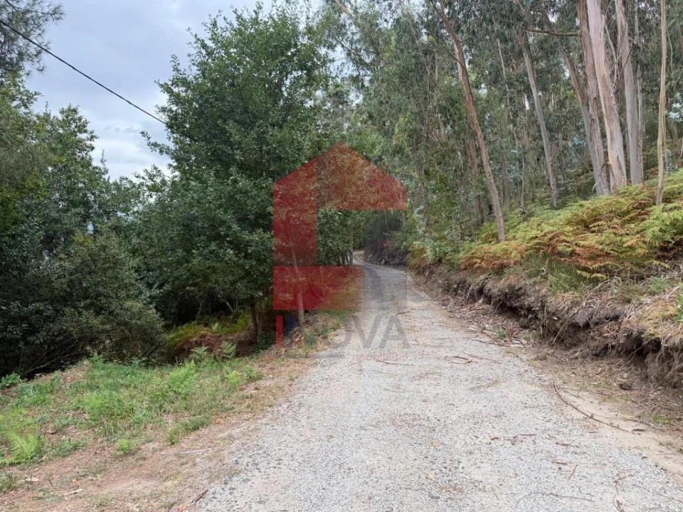 Terreno para Venda em Pico de Regalados, Gondiães e Mós Foto 27