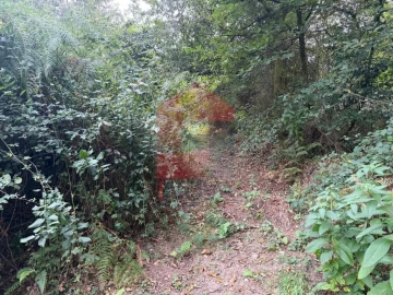 Terreno para Venda em Pico de Regalados, Gondiães e Mós