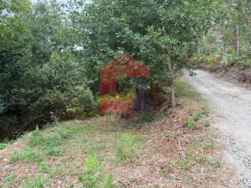 Terreno para Venda em Pico de Regalados, Gondiães e Mós