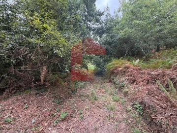 Terreno para Venda em Pico de Regalados, Gondiães e Mós