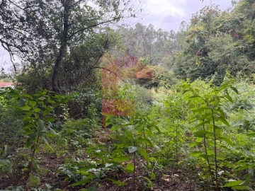 Terreno para Venda em Pico de Regalados, Gondiães e Mós