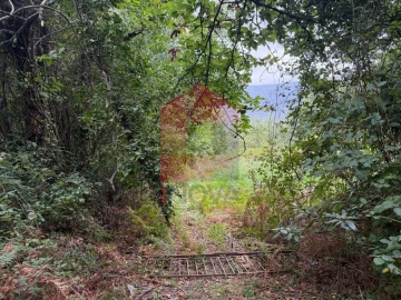 Terreno para Venda em Pico de Regalados, Gondiães e Mós