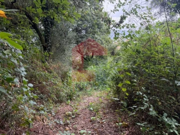 Terreno para Venda em Pico de Regalados, Gondiães e Mós