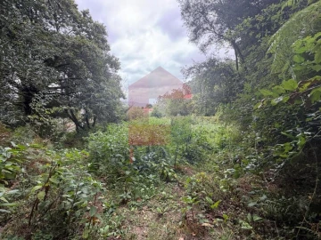 Terreno para Venda em Pico de Regalados, Gondiães e Mós