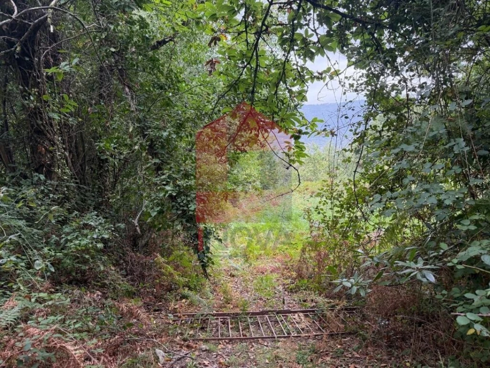 Terreno para Venda em Pico de Regalados, Gondiães e Mós Foto 3