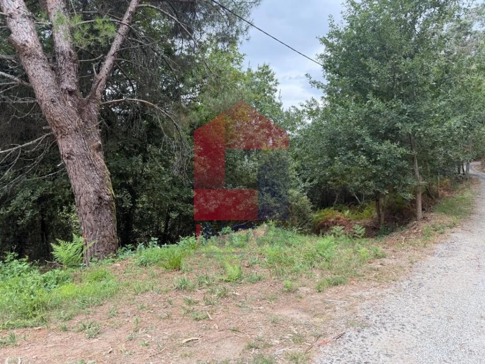 Terreno para Venda em Pico de Regalados, Gondiães e Mós Foto 26