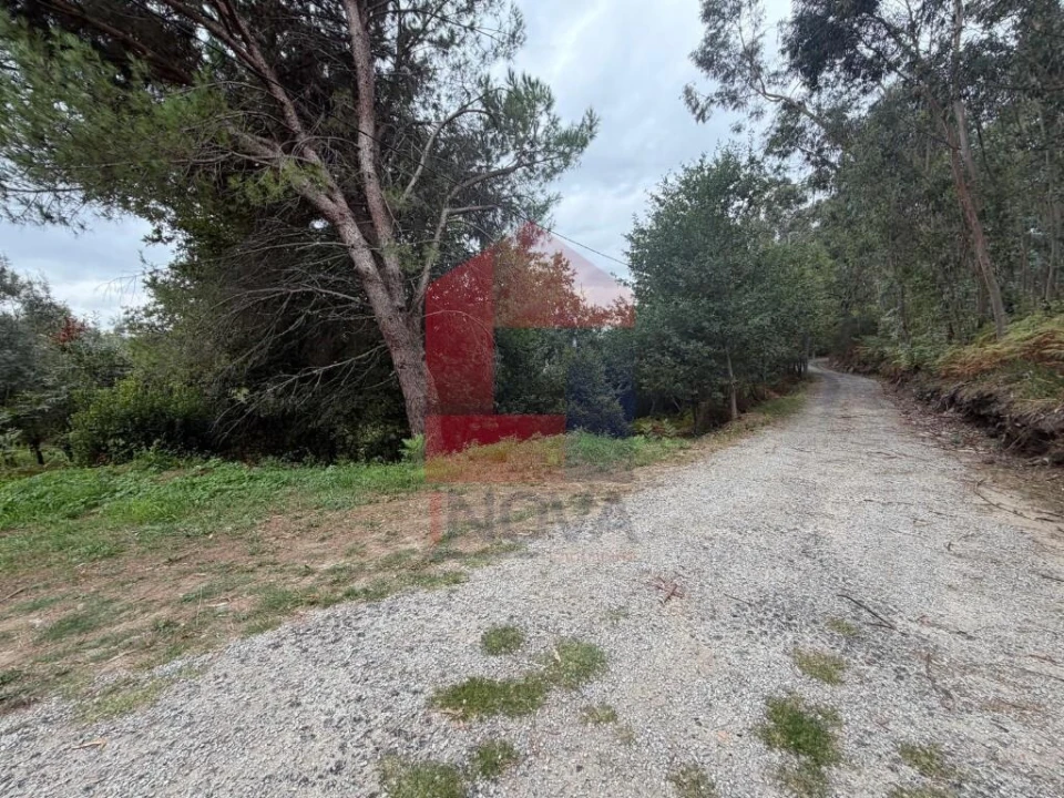 Terreno para Venda em Pico de Regalados, Gondiães e Mós Foto 29