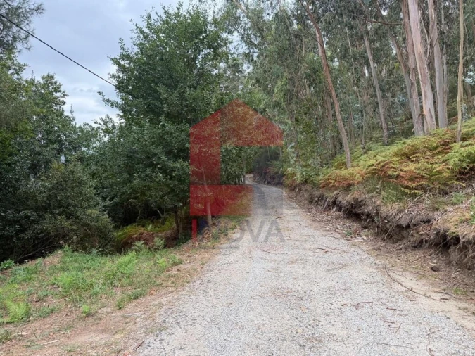 Terreno para Venda em Pico de Regalados, Gondiães e Mós Foto 27