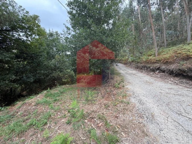 Terreno para Venda em Pico de Regalados, Gondiães e Mós Foto 28
