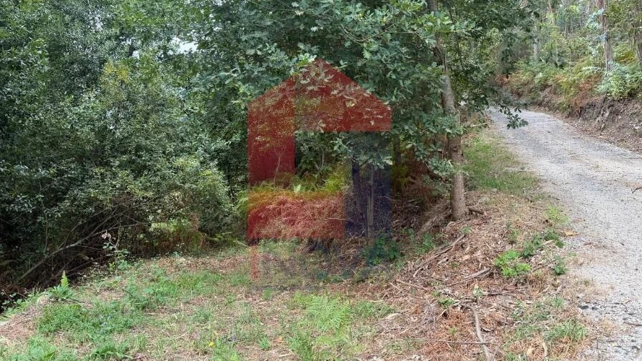 Terreno para Venda em Pico de Regalados, Gondiães e Mós
