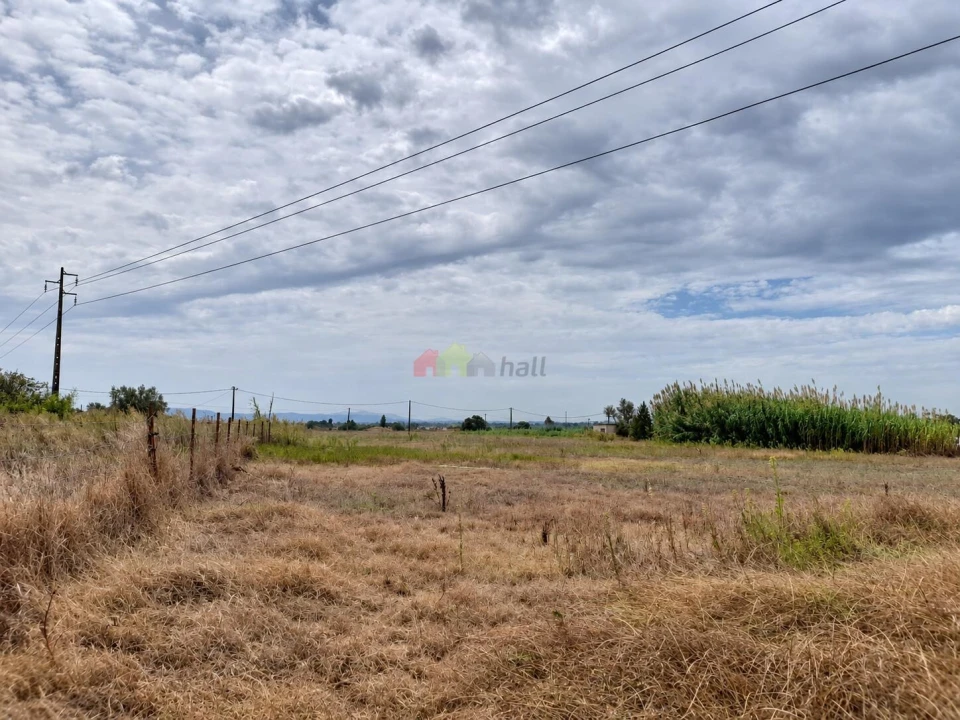 Terreno para Venda em Pinhal Novo Foto 5
