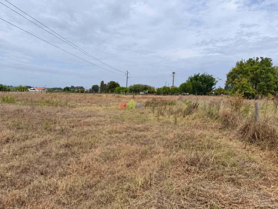Terreno para Venda em Pinhal Novo Foto 9