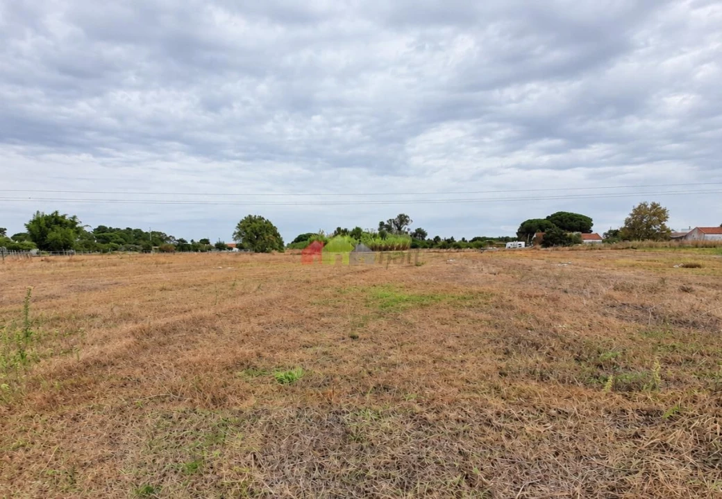 Terreno para Venda em Pinhal Novo Foto 12