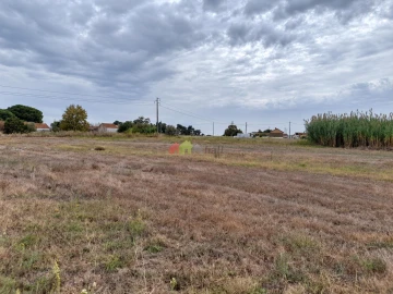 Terreno para Venda em Pinhal Novo