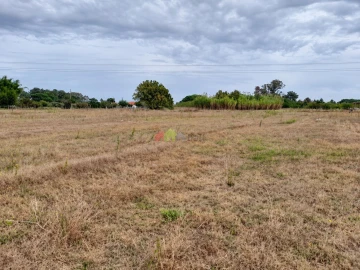 Terreno para Venda em Pinhal Novo
